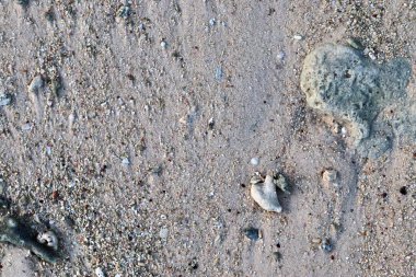Ayak izleri ve su dalgaları ile Seyşeller cennet adada beyaz plajları güzel çekim