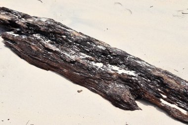 Ayak izleri ve su dalgaları ile Seyşeller cennet adada beyaz plajları güzel çekim