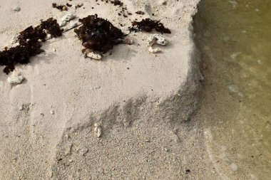 Ayak izleri ve su dalgaları ile Seyşeller cennet adada beyaz plajları güzel çekim