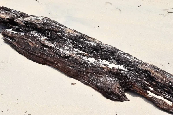 Ayak izleri ve su dalgaları ile Seyşeller cennet adada beyaz plajları güzel çekim