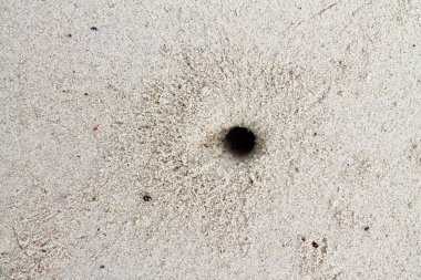 Ayak izleri ve su dalgaları ile Seyşeller cennet adada beyaz plajları güzel çekim