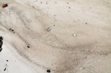 Ayak izleri ve su dalgaları ile Seyşeller cennet adada beyaz plajları güzel çekim