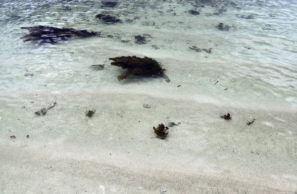 Piękne Zdjęcia Białych Plaż Wyspie Seszele Raj Odciskami Fal Wodnych — Zdjęcie stockowe