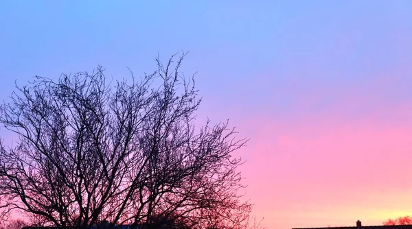 Belles Formations Nuageuses Coucher Soleil Sur Ciel Orange Bleu — Photo