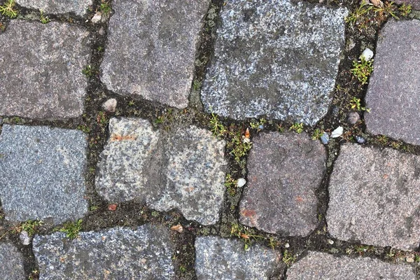 Detaljerad Nära Utsikt Över Kullerstensgator Och Trottoarer Olika Perspektiv — Stockfoto