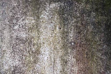 Yüksek çözünürlükte bazı renk ile beton ve çimento duvar dokusu yüzeyi yakın