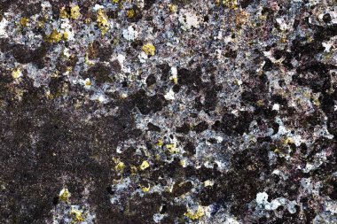 Yüksek çözünürlükte çatlak ve yıpranmış beton duvarların detaylı yakın yüzeyi