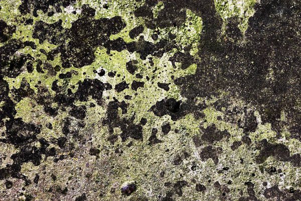 Detailed close up surface of cracked and weathered concrete walls in high resolution