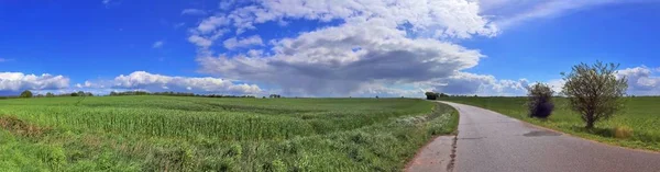 Потрясающая Панорама Высоким Разрешением Северного Немецкого Сельскохозяйственного Ландшафта Солнечный День — стоковое фото
