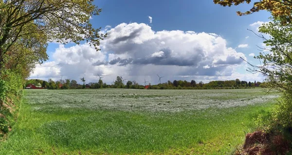 Lenyűgöző Nagy Felbontású Panoráma Északi Német Mezőgazdasági Táj Egy Napfényes — Stock Fotó