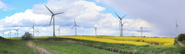 Güneşli bir günde Kuzey Almanya'da görülen bir rejeneratif enerji rüzgar değirmeni parkı yüksek reoslution panorama