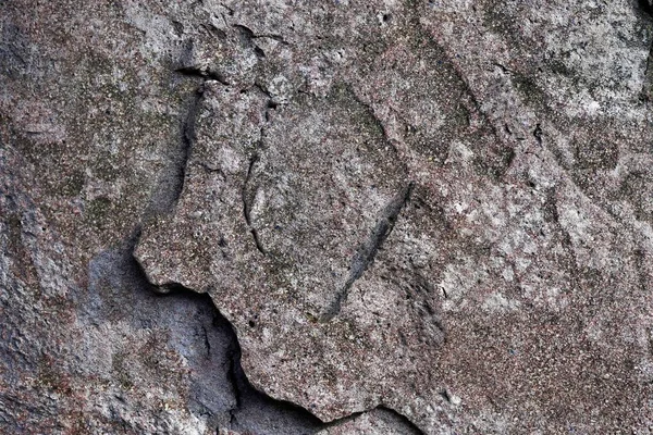 Superfície Detalhada Alta Uma Parede Concreto Cores Diferentes Textura Com — Fotografia de Stock