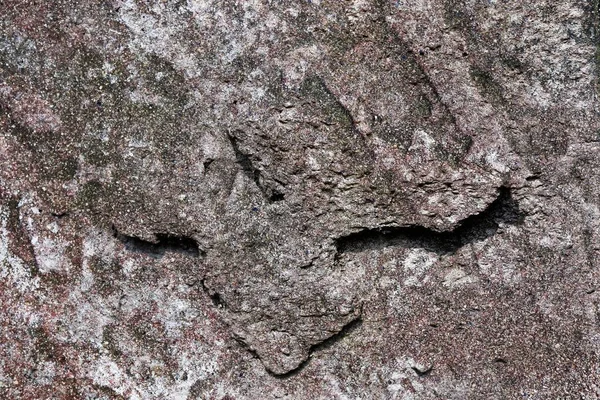 Hög Detaljerad Yta Betongvägg Olika Färger Konsistens Med Några Sprickor — Stockfoto