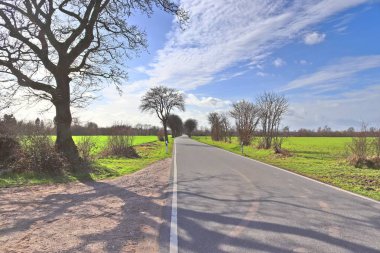 Kuzey Almanya'da boş ve yalnız kır yolları bulundu