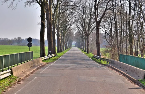 Routes Campagne Vides Solitaires Trouvées Dans Nord Allemagne — Photo