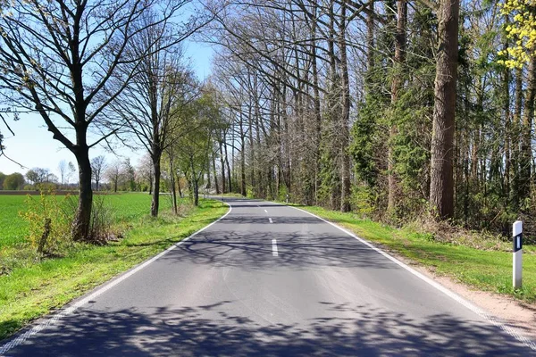 Route Campagne Vide Sans Voitures Avec Quelques Arbres Ciel Bleu — Photo