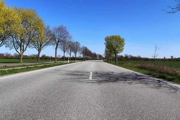 Empty Country Road Cars Some Trees Blue Sky Found Northern — Stock Photo, Image