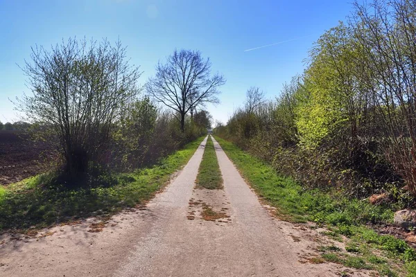 Strada Campagna Vuota Senza Auto Con Alcuni Alberi Cielo Blu — Foto Stock