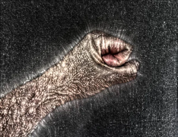 Kirlian Κορωνική Αύρα Φωτογραφία Ενός Αρσενικού Ανθρώπινου Χεριού Που Δείχνει — Φωτογραφία Αρχείου
