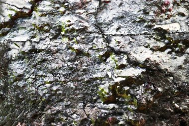 Yüksek çözünürlükte beton ve çimento duvarlara püskürtülen renkli boyanın yakın yüzeyi