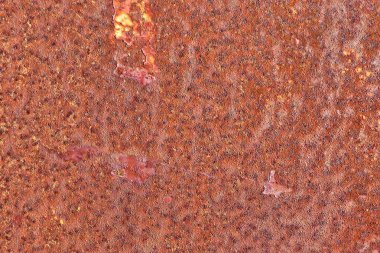 Yüksek çözünürlüklü paslı metal ve çeliğin detaylı yüzeyi.