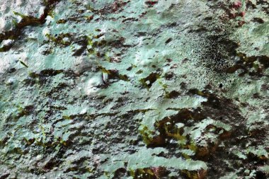 Yıpranmış beton duvarlarda renkli peeling püskürtülür boya ayrıntılı yakın yüzey