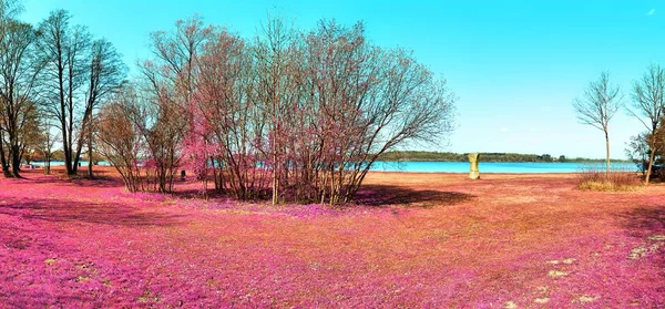Bella Colorata Fantasia Paesaggio Asiatico Viola Infrarosso Foto Stile — Foto Stock