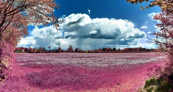 Bella Colorata Fantasia Paesaggio Asiatico Viola Infrarosso Foto Stile — Foto Stock