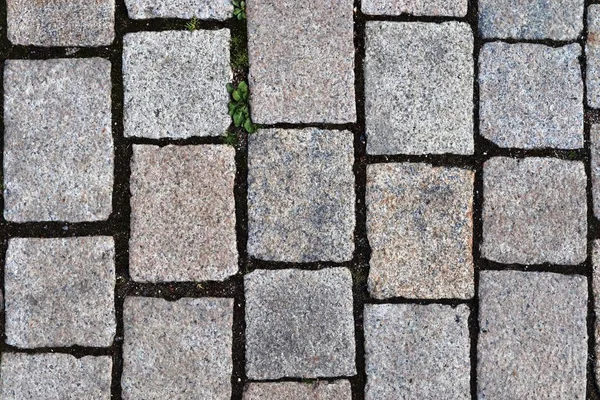 Närbild Detaljerad Kullerstensgata Trottoaren Hög Högupplösta — Stockfoto