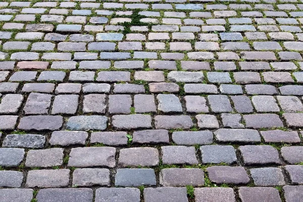 Detailaufnahme Auf Einem Kopfsteinpflaster Hoher Reinigung — Stockfoto