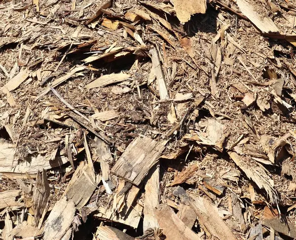 Nahsicht Auf Detaillierte Holzplanken Und Baumstämme Hoher Auflösung — Stockfoto