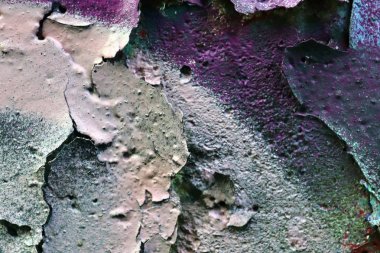 Kayıp bir yerde bulunan beton ve metaller yüzeylerde renkli soyma boyasını yakın görünüm