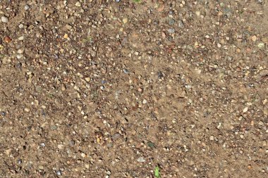 Almanya'da bulunan yüksek çözünürlükte çakıl zemin dokularının yakın yüzeyi