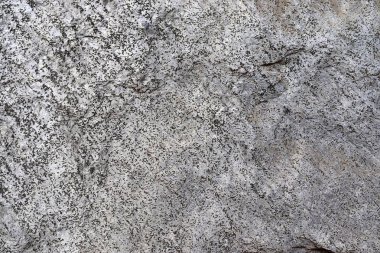 Kuzey Almanya ve Danimarka'da bulunan bazı çatlaklar ile yapılandırılmış bir beton duvarın detaylı yakın çekim