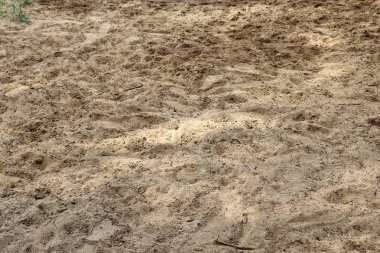 Kumlu zemin yüzeylerini yüksek çözünürlükte yakından yakından takip edin