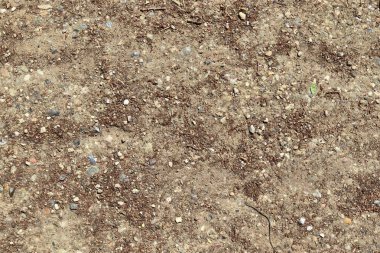 Kumlu zemin yüzeylerini yüksek çözünürlükte yakından yakından takip edin