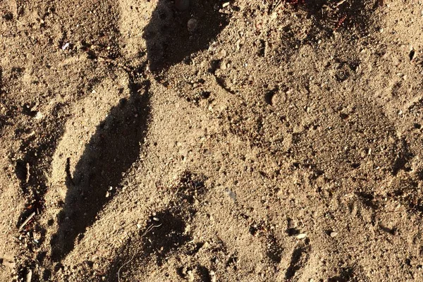 Close up detailed view on sandy ground surfaces in high resolution