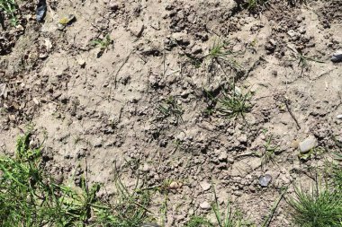 Kuru zemin ve traktör parkurları ile tarım sahalarında yakından görünüm