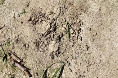 Kuru zemin ve traktör parkurları ile tarım sahalarında yakından görünüm