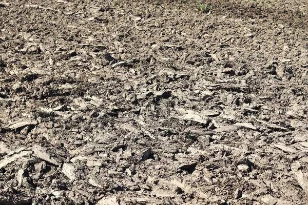 乾燥した地面およびトラクターのトラックが付いている農業分野のクローズアップビュー — ストック写真