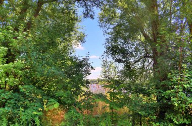 Güzel mavi su ve dinlendirici manzaralar ile güneşli bir günde bir nothern Alman gölünde güzel görünümü