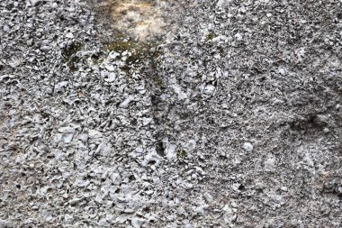 Yüksek çözünürlükte yaşlı ve yıpranmış beton duvar dokularının detaylı yakın yüzeyi