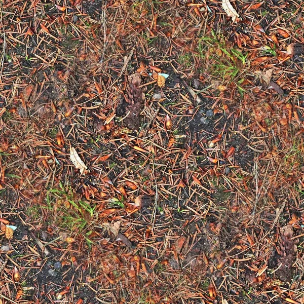 Textura Sem Emenda Alta Resolução Terreno Florestal Com Folhas Outono — Fotografia de Stock