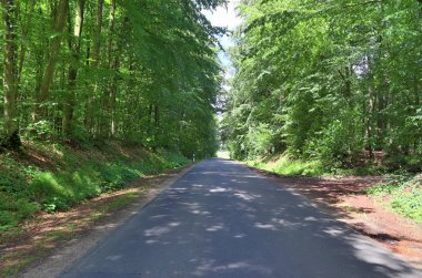 Güneşli bir günde kuzey Almanya'da sokakları ve yolları ile yeşil manzaralar üzerinde güzel bir görünüm