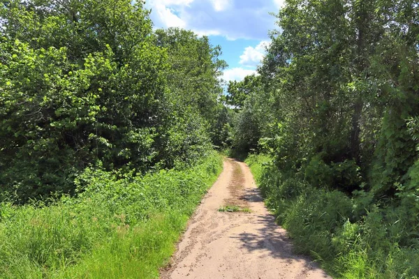 Güneşli bir günde kuzey Almanya'da sokakları ve yolları ile yeşil manzaralar üzerinde güzel bir görünüm