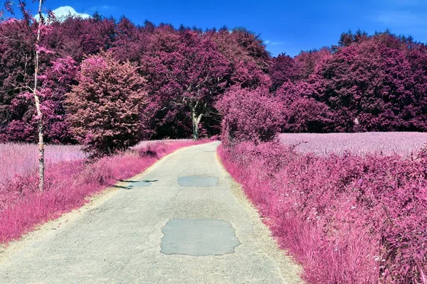 Impresionante Vista Infrarroja Paisajes Fantasía Púrpura Con Algunos Caminos Ashpalt —  Fotos de Stock