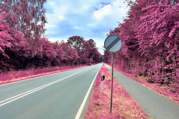 Приголомшливий Інфрачервоний Вид Фіолетові Фантастичні Пейзажі Деякими Попелястими Дорогами — стокове фото