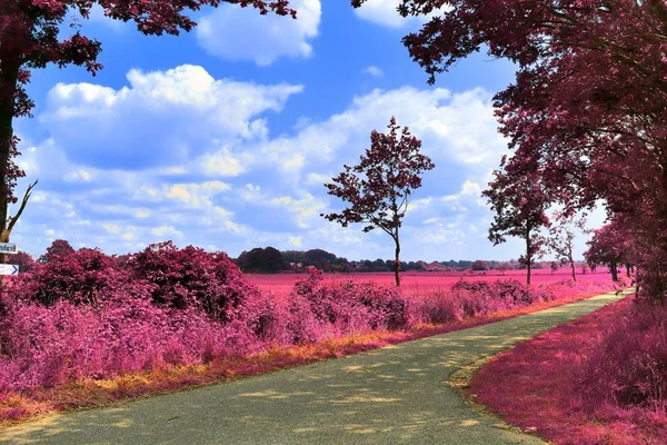 Bazı ashpalt yollar ile mor fantezi manzara çarpıcı kızılötesi görünümü