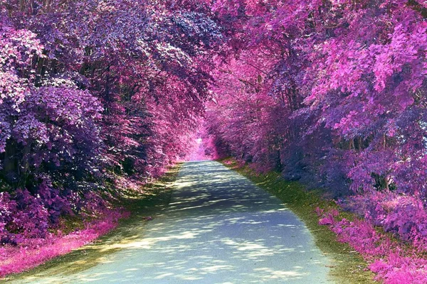 Impresionante Vista Infrarroja Paisajes Fantasía Púrpura Con Algunos Caminos Ashpalt —  Fotos de Stock