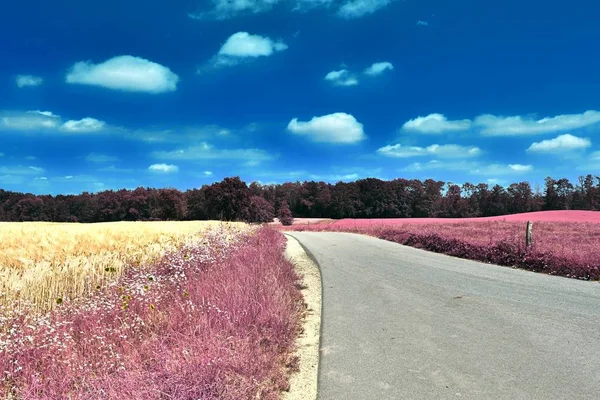 Bazı ashpalt yollar ile mor fantezi manzara çarpıcı kızılötesi görünümü